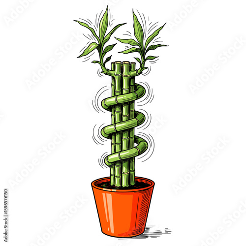 A stylized illustration of a lucky bamboo plant spiraling upwards in an orange pot.