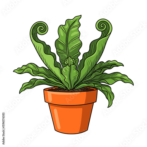 A vibrant illustration of a fern plant in an orange pot.