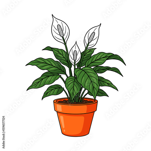 Illustration of a potted peace lily plant with white flowers and green leaves.