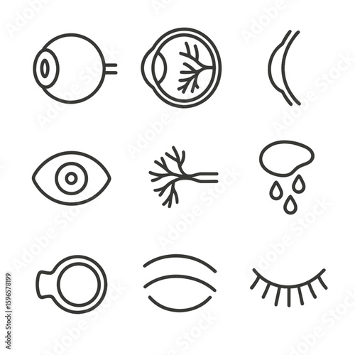 Eye Anatomy Icons. Line style icons of eye anatomy: eyeball, retina cross-section, cornea, iris and pupil, optic nerve, tear gland
