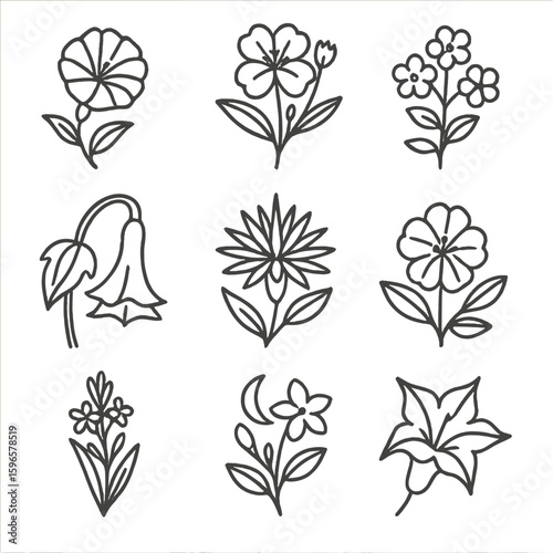 Night-Blooming Plant Icons. Line style icons of night-blooming plants: moonflower, evening primrose, night phlox, angel’s trumpet,