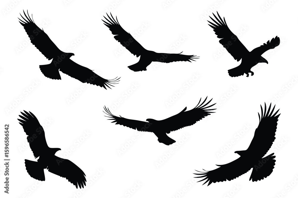 Obraz premium A Majestic Array of Eagles Soaring Boldly Against a Pure White Backdrop Showcasing Freedom and Natural Grace