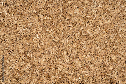 Wooden chips texture background close up. small wood chips for smoking top view. sawdust texture. ecological fuel