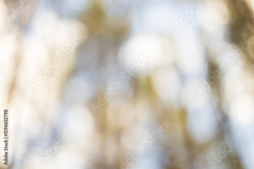 A blurry image of trees with a light blue sky
