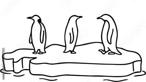 penguin vector illustration, isolated on white