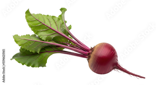 Photos Isolated beetroot