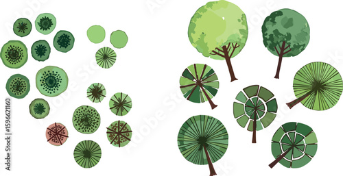 tree top watercolor hand drawn view isolated on white background for landscape plan and architecture layout drawing