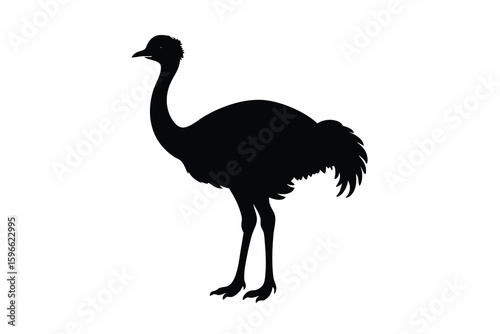 Black Silhouette of an Ostrich Standing on a White Background