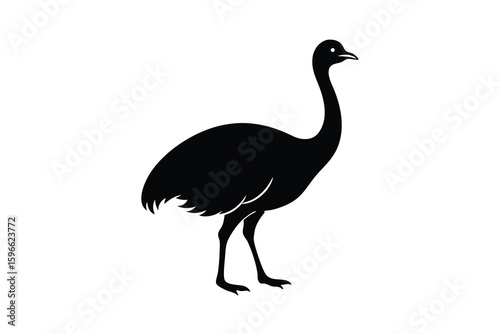 Black Silhouette of an Emu Bird Standing on White Background Vector Illustration