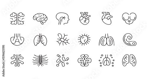 Human Organs Line Art Icons: Anatomy & Healthcare Symbol Collection