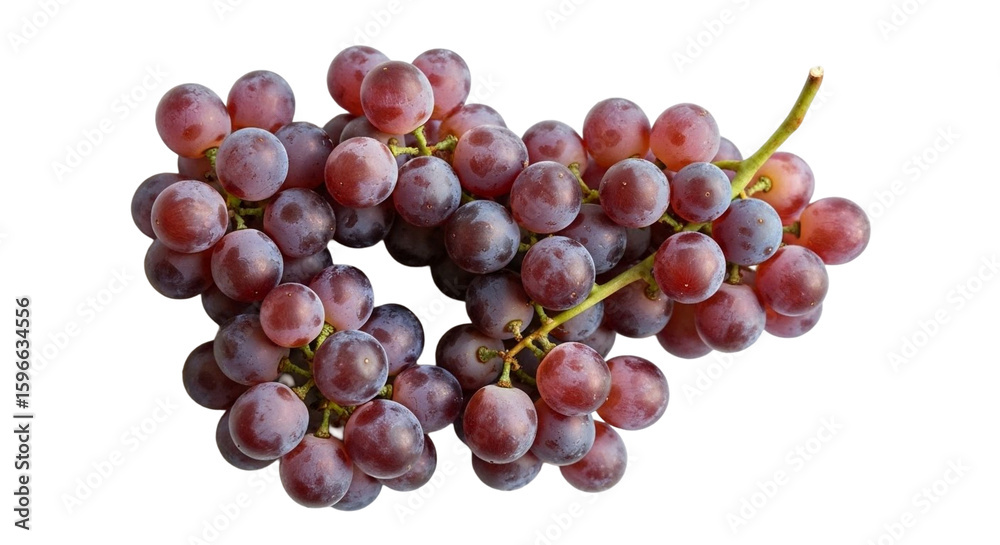 Fototapeta premium Fresh ripe red grapes on a stem isolated on a black background healthy delicious fruit