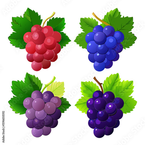 Four bunches of grapes in different colors with green leaves on white background