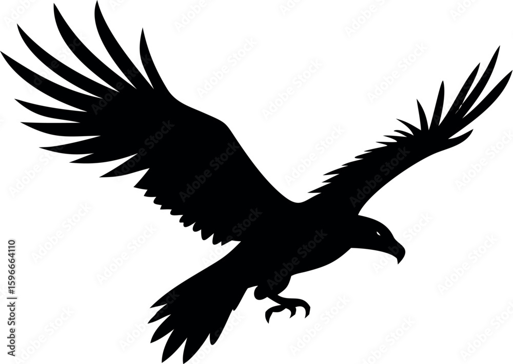 Fototapeta premium Illustrate an eagle diving sharply downward with wings tucked in.
