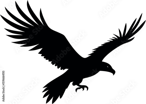 Illustrate an eagle diving sharply downward with wings tucked in.