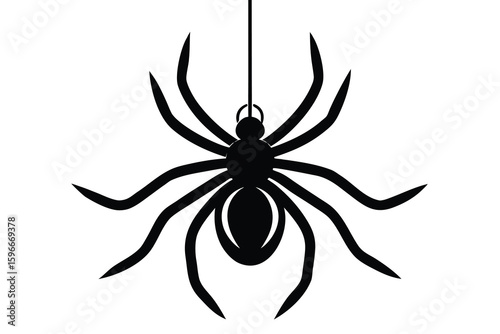 spider hanging vector icon