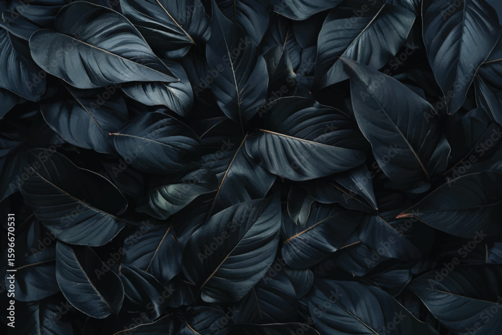 Fototapeta premium Black monstera leaves background wallpaper