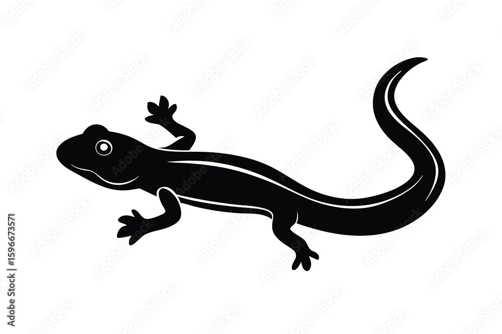 Naklejka premium Simple Black Silhouette of a Salamander with a Curled Tail on White