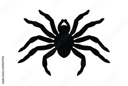 Black Silhouette of a Spider with Eight Legs on a White Background