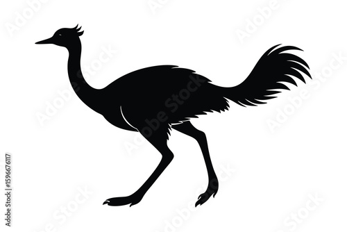 Silhouette of a Running Rhea Bird on a White Background Vector Illustration