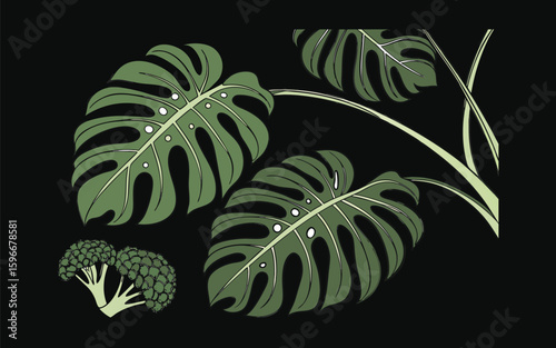 Lush tropical green leaves including monstera philodendron and broccoli florets arranged naturally on clean white background for fresh design visuals