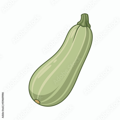 An illustration of a single zucchini