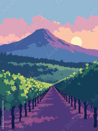 Pomigliano d'Arco, Italy – Vesuvius over vineyards at dusk in grape purple rows, vineyard green trellises, ash gray crater, and sky blue backdrop