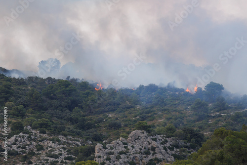 Картината върху платно Fuego provocado por la inconsciencia del ser humano en verano con temperaturas e