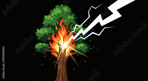 Tree on fire after being struck by lightning