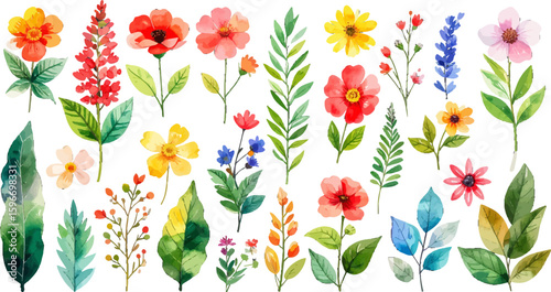 Watercolor vibrant floral clipart collection. Bright flowers and leaves watercolor set. Colorful floral illustration in watercolor. Summer wildflower bundle. Hand-painted cheerful botanical clipart