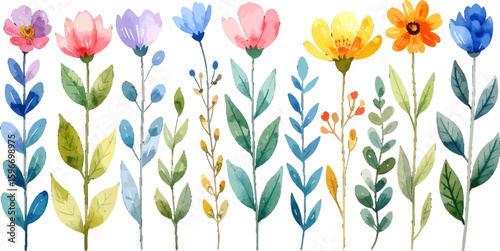 Cheerful floral clipart on white background. Rainbow flower watercolor botanical set. Watercolor wild garden flowers clip art. Colorful flower and greenery. Watercolor field flowers in bright colors