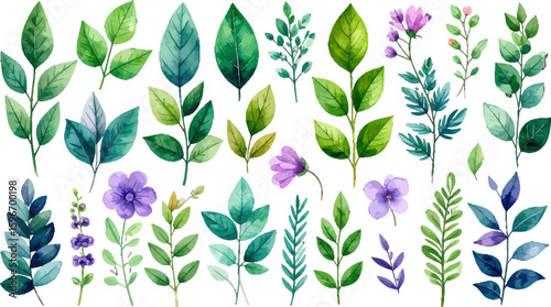 Botanical clipart in green and lilac tones. Garden floral watercolor illustration set. Natural leaves and purple blossom clipart. Floral and foliage watercolor graphics. Herbal watercolor collection