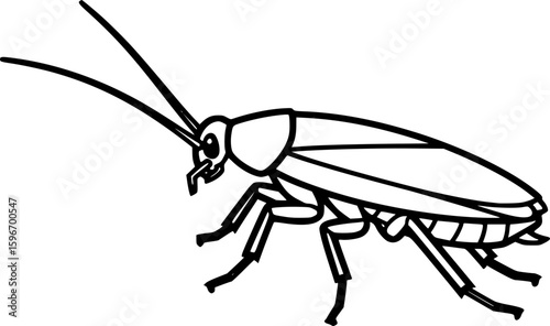 Cockroach outline icon vector
