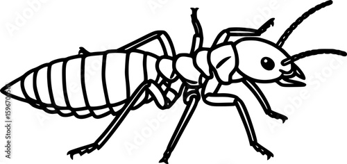 Termite outline icon vector
