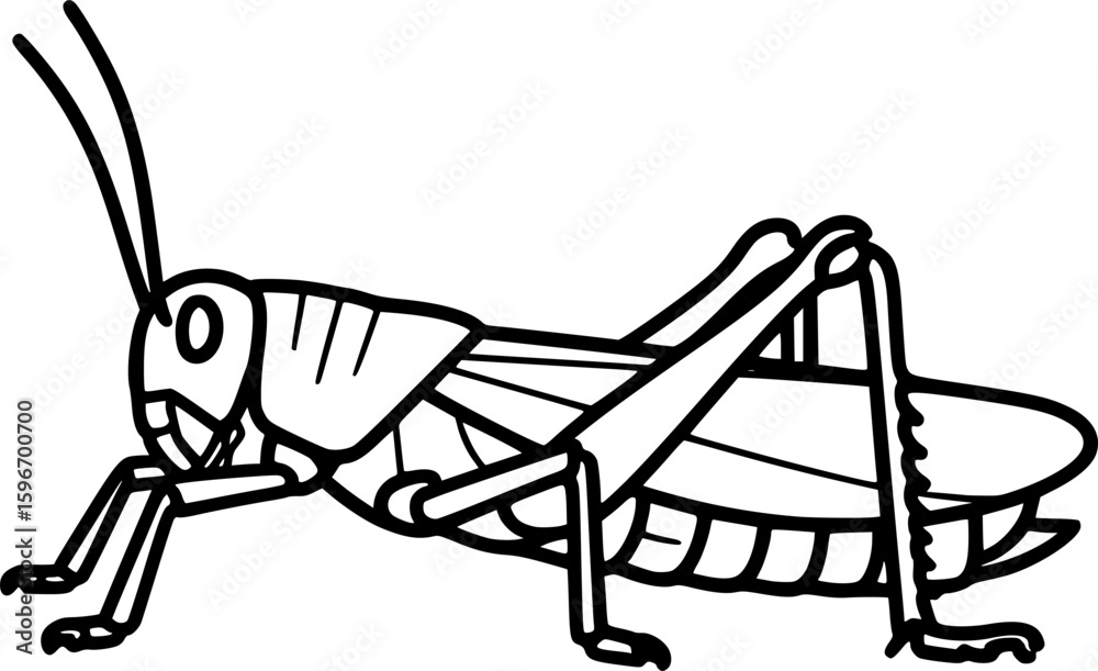 Fototapeta premium Grasshopper outline icon vector