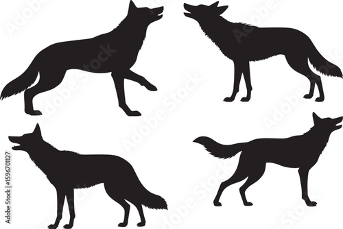 Set of coyote silhouette vector illustration – wild animal icon, black isolated predator, wildlife design, hunting mascot, wolf dog symbol, tattoo emblem, cartoon set isolated on white background.