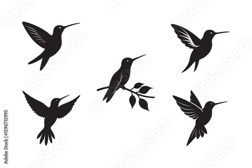  hummingbird feeding from flower silhouette set bundle