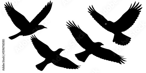 Silhouette depiction of four birds soaring gracefully in the sky above on transparent background