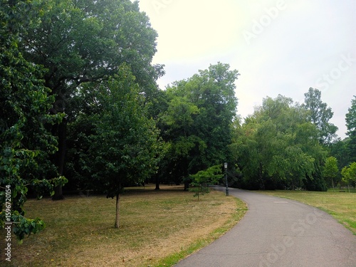 Fototapeta Naklejka Na Ścianę i Meble -  A winding road in a grassy park, with trees on the edge.