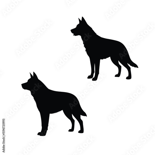 silhouette of Australian cattle dog animal on white