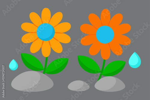 Two Cartoon Orange Daisy Like Flowers With Yellow Centers