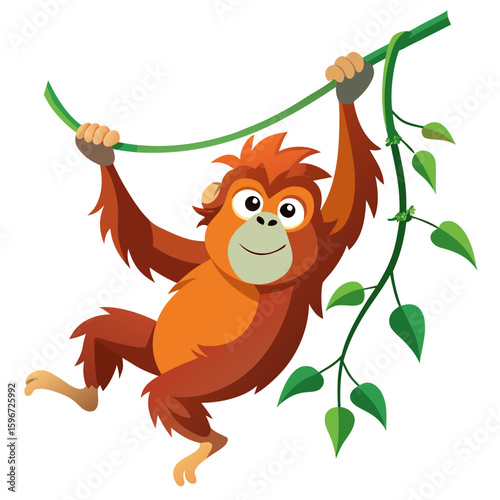 Orangutan swinging from vines, on white background