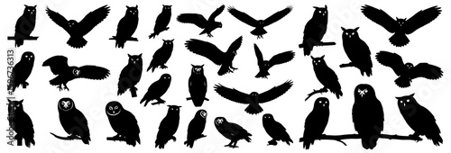 Owl silhouettes in different positions such as sitting, flying, and hunting. Great for wildlife graphics, nocturnal animals, and Halloween themes