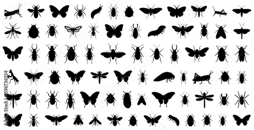 Insect silhouettes including butterflies, beetles, ants, spiders, caterpillars, grasshoppers, moths, flies, dragonflies, and bugs