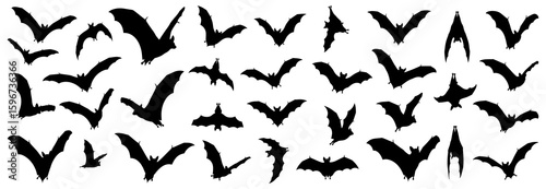 Bat silhouette collection featuring flying bats in different wing positions and motions. Ideal for Halloween designs, nocturnal wildlife themes, or spooky decorative elements
