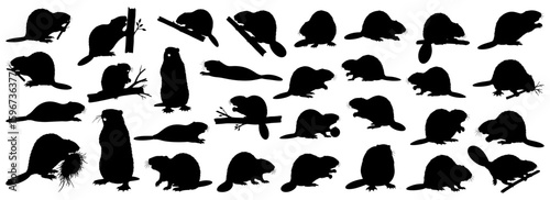 Beaver silhouettes collection showing various positions like chewing wood, building dams, and swimming