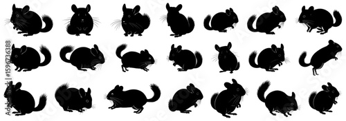 Chinchilla silhouettes collection with multiple poses of chinchillas sitting, running, and grooming. This set is suitable for pet-related designs, educational use, or wildlife projects