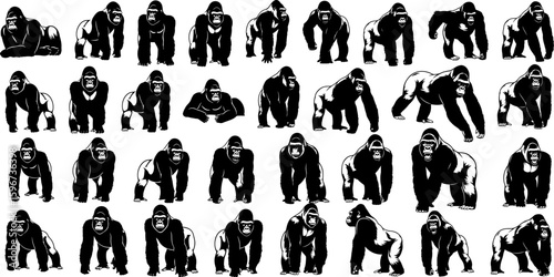 Gorilla silhouettes collection strong gorilla illustrations in walking, sitting, and standing poses, powerful primate icons, jungle animal