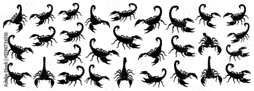 Scorpion silhouettes collection showing different scorpions in multiple stances with detailed pincers and tails