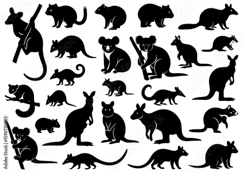 Australian animals silhouettes collection including kangaroos, koalas, wombats, possums, wallabies, bandicoots and other marsupials