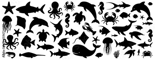Sea animal silhouettes including dolphins, whales, turtles, sharks, jellyfish, crabs, octopus, starfish, and different fish species